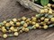 Alabaster Travertine Sea Shell Beaded Chain - Sold by the foot